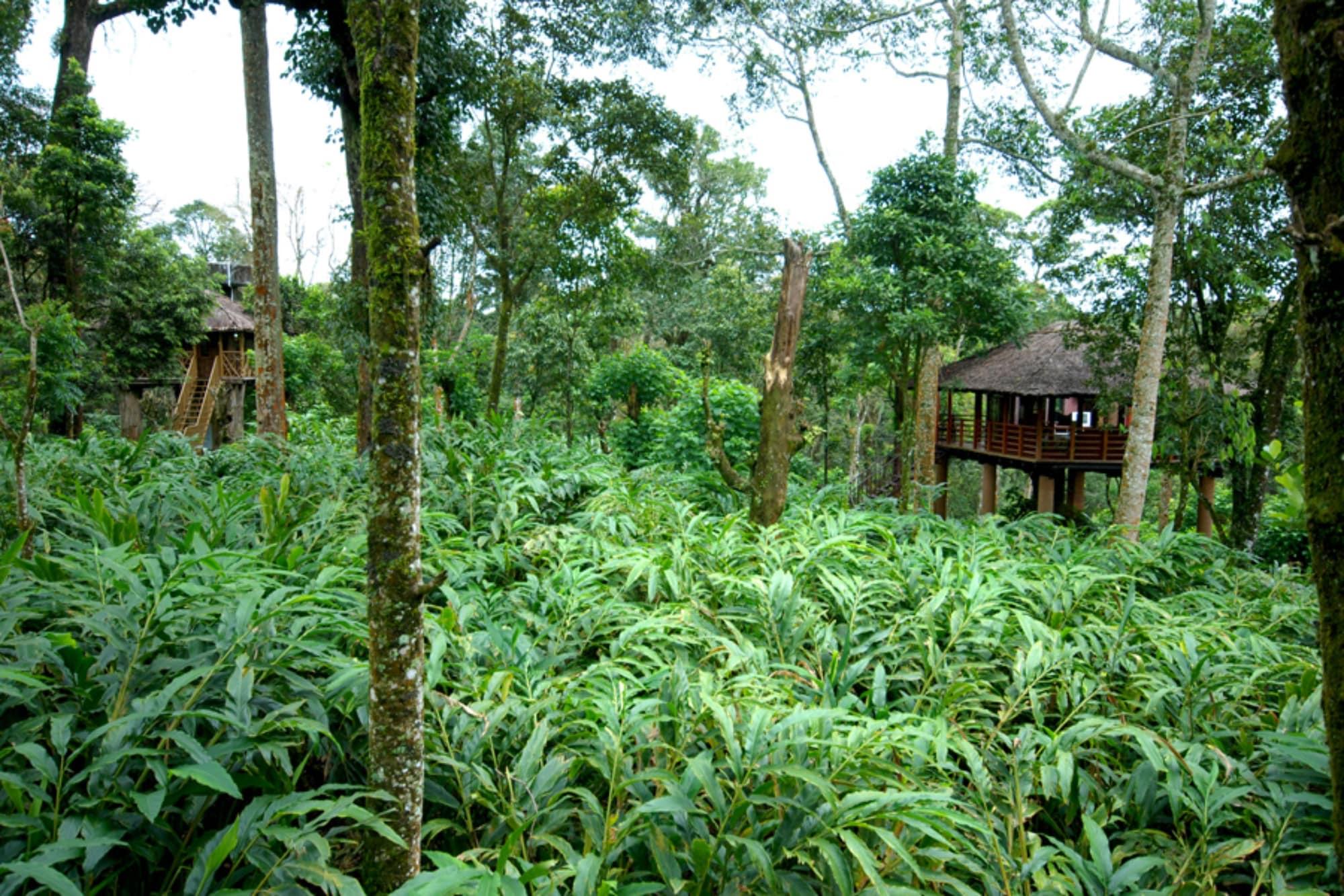 Carmelia Haven Resort Thekkady Kültér fotó