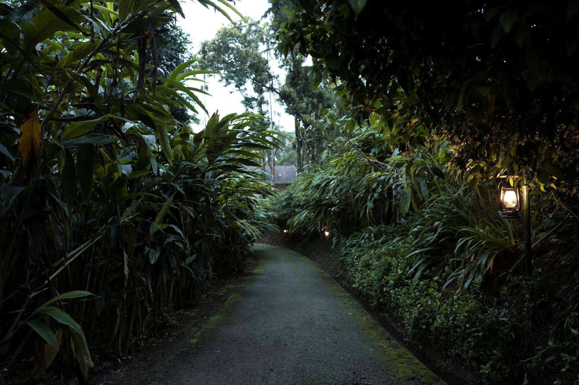 Carmelia Haven Resort Thekkady Kültér fotó