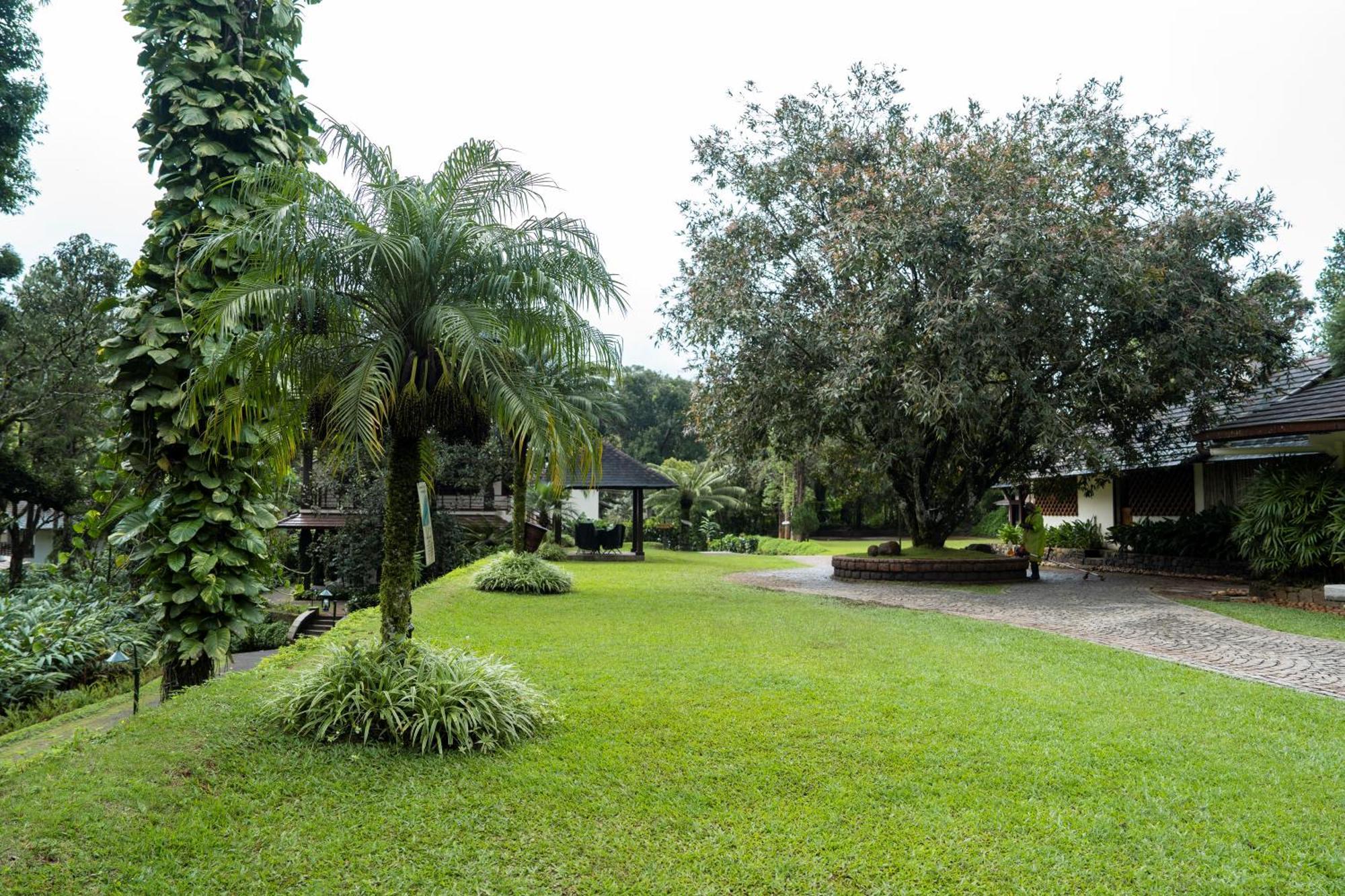 Carmelia Haven Resort Thekkady Kültér fotó