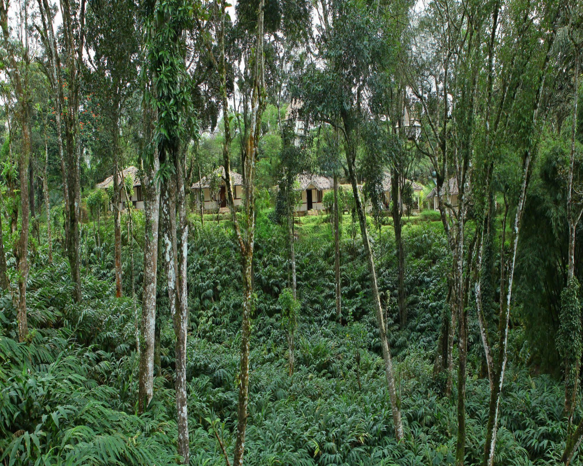 Carmelia Haven Resort Thekkady Kültér fotó